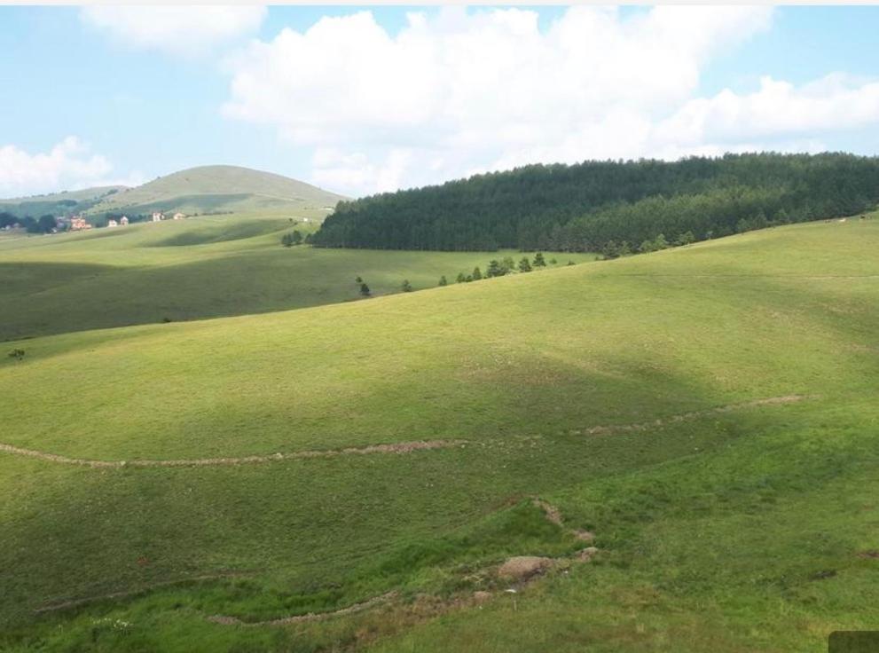 Zlatibor Hills Lux Apart Mn Dış mekan fotoğraf